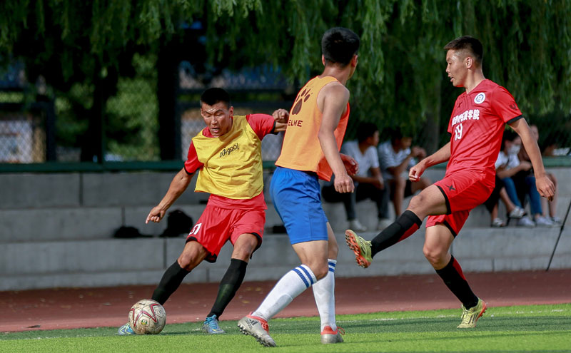 拜仁vs美因茨首发：凯恩领衔，卡尔在列，迪亚斯缺席（拜仁对阵美因茨首发名单：凯恩领衔，卡尔入选，迪亚斯缺席）